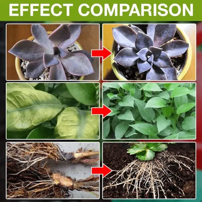 BloomUp™️ Plant Growth Enhancer