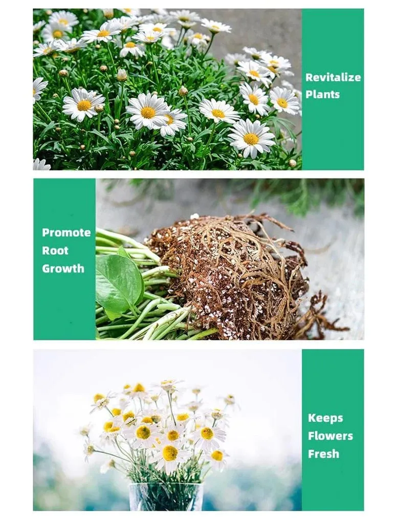 BloomUp™️ Plant Growth Enhancer