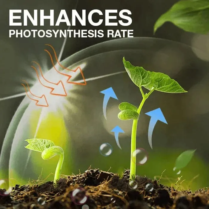 BloomUp™️ Plant Growth Enhancer