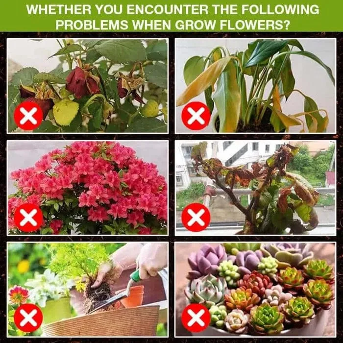 BloomUp™️ Plant Growth Enhancer