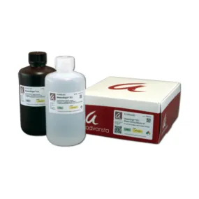 ECL Kit