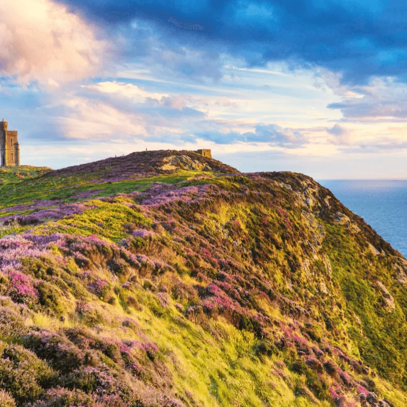 Isle of Man eSIM