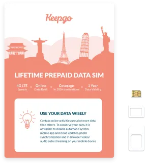 Lifetime World SIM Card