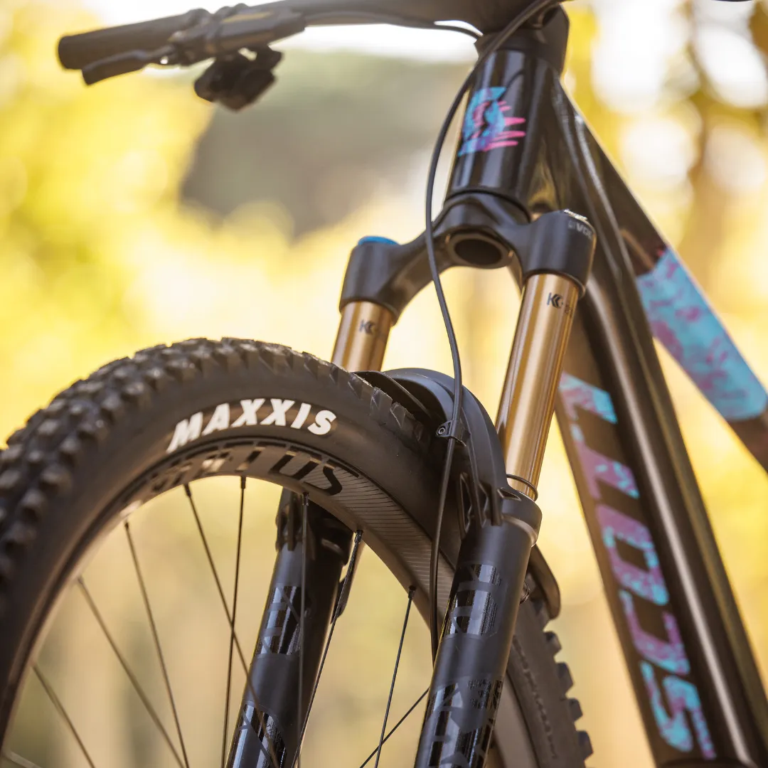 Scott Voltage eRide 900 Tuned '24